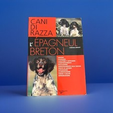 Limouzy epagneul breton usato  Sinnai