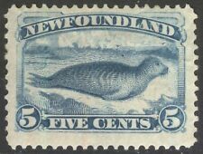 Newfoundland pale blue for sale  Beaverton