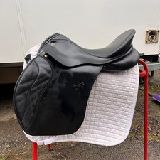Black kieffer bonn for sale Black kieffer bonn for sale  DEWSBURY