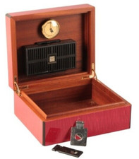 Dunhill red sycamore for sale  CAMBRIDGE