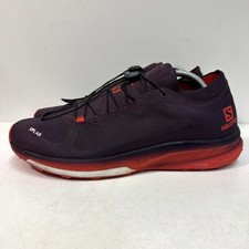 Good salomon lab for sale  Castro Valley