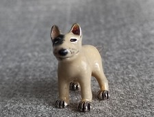 Bull terrier miniature for sale  UK