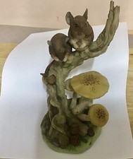 Teviotdale mice hazelnuts for sale Teviotdale mice hazelnuts for sale  DRIFFIELD