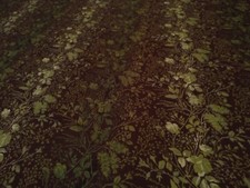Yard gorgeous dark for sale  Colbert