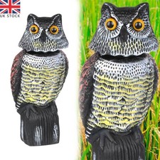 Realistic owl decoy for sale  HAYES