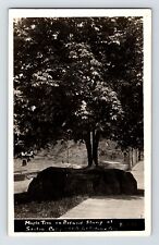 Postcard rppc california for sale  Elk Grove