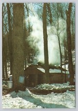 Maple sugaring vermont for sale  Owosso