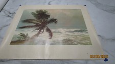 Palm tree ocean for sale  Kingwood