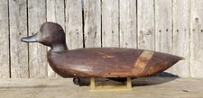 1890 1900 bluebill for sale  Southampton