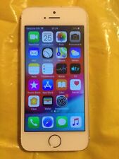 Apple iphone gold usato  Castelnuovo di Garfagnana