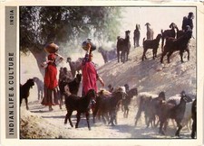 Cpm rajasthan village d'occasion  Expédié en France