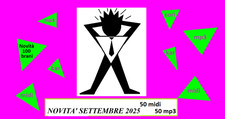100 basi karaoke usato  Foggia
