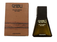 Campioncino ghibli aktinsons usato  Vercelli