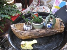 Real wood log for sale  Marietta