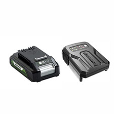 Greenworks batteria 24v usato  Roccagloriosa