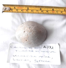 Fossil sea urchin for sale  GOSPORT