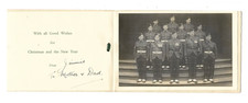 Queens royal irish for sale  KENDAL