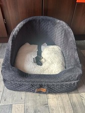 Vivifying dog car for sale Vivifying dog car for sale  GRAVESEND