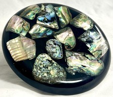 Vtg abalone sea for sale  Manistee