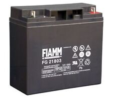 Fiamm fg21803 12v gebraucht kaufen  Grimmen-Umland lll