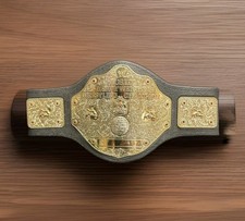 Wwe wwf heavyweight for sale  San Antonio