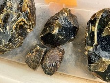 Indonesian copal amber for sale  Clovis