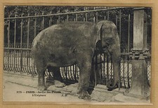 Old postcard paris d'occasion  Expédié en Belgium
