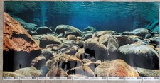 Aquarium background underwater for sale  Russellville