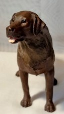 Brown female labrador for sale  Dayton