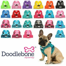 Doodlebone easyfit dog for sale  NEWCASTLE UPON TYNE