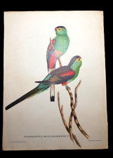Lithographie ancienne john d'occasion  Levallois-Perret