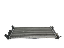 0029114 radiatore acqua usato  Castagnaro