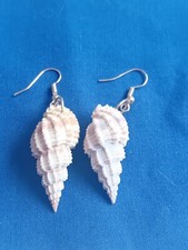 Beautiful summer shell for sale  STRATFORD-UPON-AVON