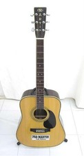 Pro martin 200 d'occasion  Expédié en Belgium