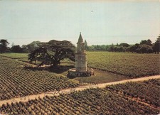 Buisse cheminet d'occasion  France