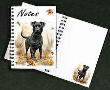 Patterdale terrier dog for sale  YEOVIL