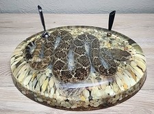 Diamondback rattlesnake resin for sale  Las Cruces