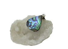 Paua muschel abalone gebraucht kaufen  Ering