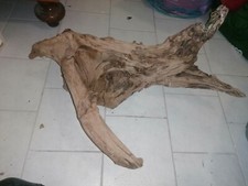 Oggetti per acquario usato  Rimini