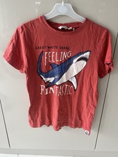 fat shark for sale fat shark for sale SWANSEA