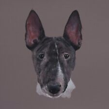 Bull terrier portrait for sale  MORPETH