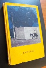 Enotrio usato  Italia