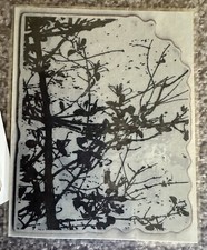 rubber tree branches for sale rubber tree branches for sale Star