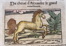 Alexander the great d'occasion  Paris VI