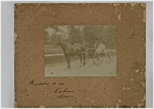A10 cavallo famiglia usato  Salerno