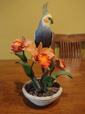 Danbury mint cockatiel for sale  Superior