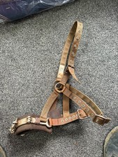 Cottage craft lunging for sale  MAIDSTONE
