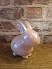 cute bunnies for sale cute bunnies for sale BRIGHTON