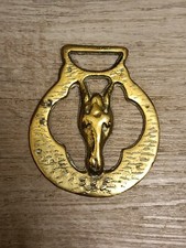 Large selection horse for sale  DARWEN