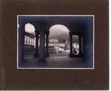 Biella reginae montis usato  Palermo